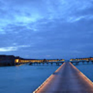 Meet your Posher, Weisha